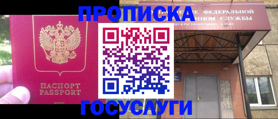 прописка поиск в Павловске